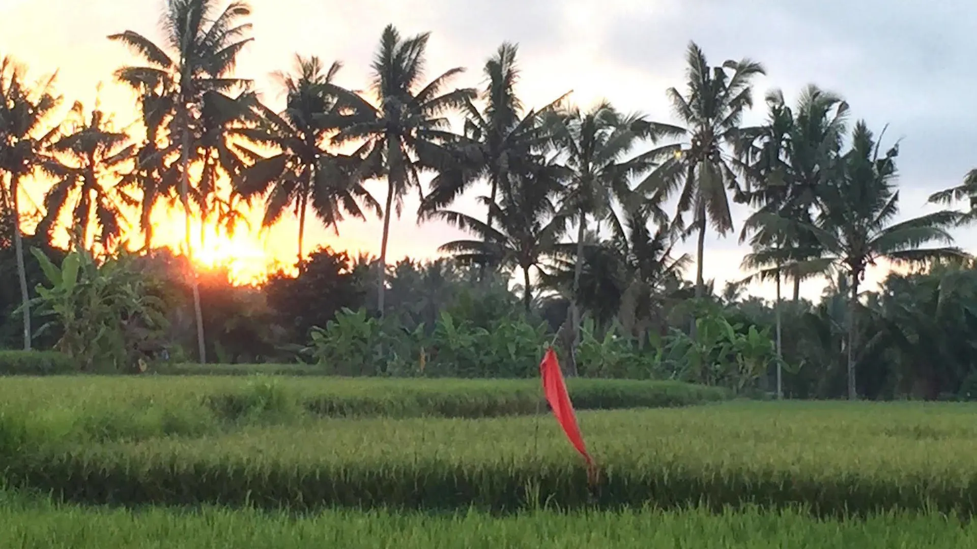 Suly Vegetarian Resort & Spa Ubud  Hotel