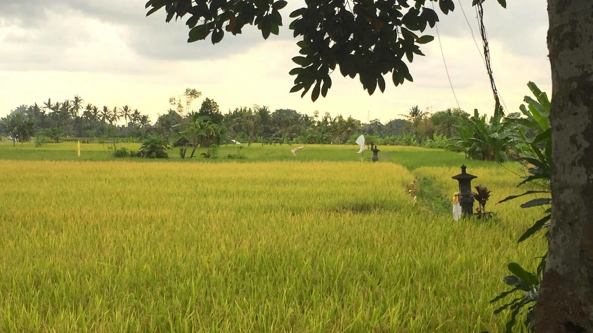 Suly Vegetarian Resort & Spa Ubud  Hotel Ubud (Bali)